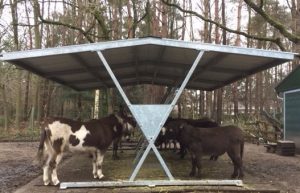 Hooiruif voor de Ezels van de ezelsocieteit gedoneerd gekregen door stichting bouwstenen voor dierenwelzijn