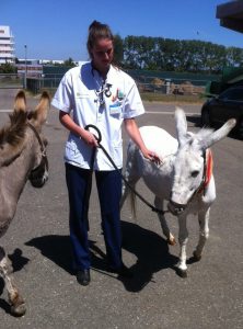 Zieke ezels verzorgen Jewel en Luna